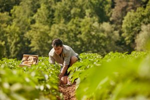 Entenda a importância do setor de óleo e gás no agronegócio